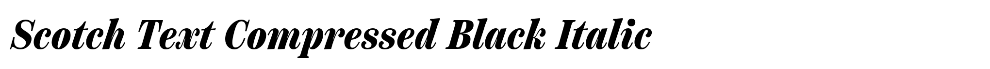 Scotch Text Compressed Black Italic image